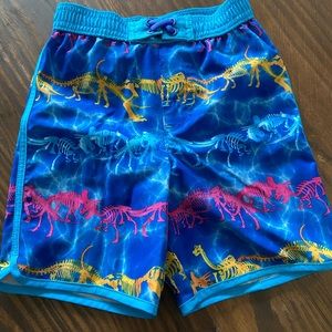 3T Boys Swim Trunks